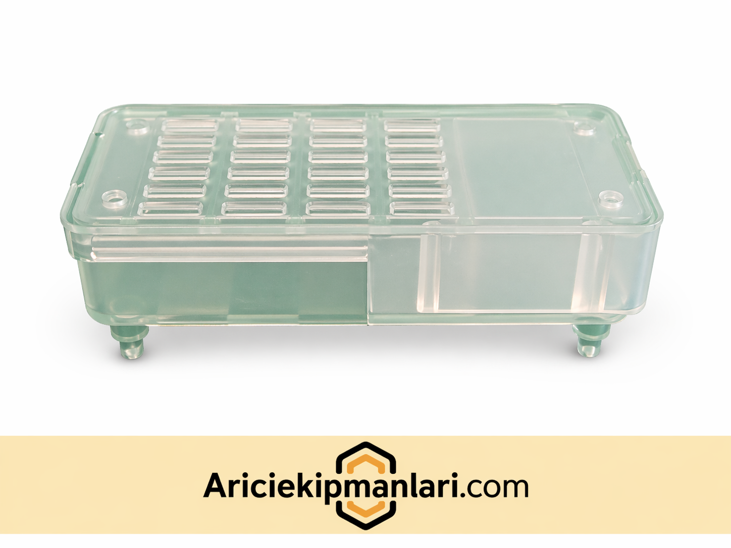 Ana Arı Kafesi - Plastik